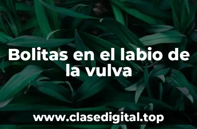 Bolitas en el labio de la vulva