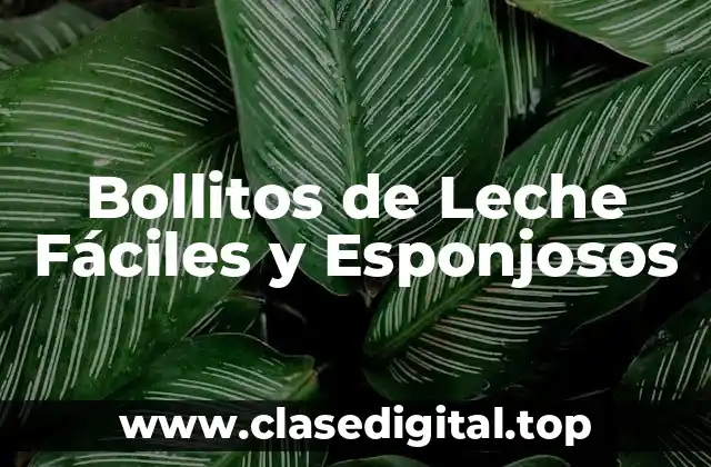 Bollitos de Leche Fáciles y Esponjosos