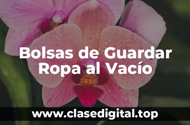 Bolsas de Guardar Ropa al Vacío