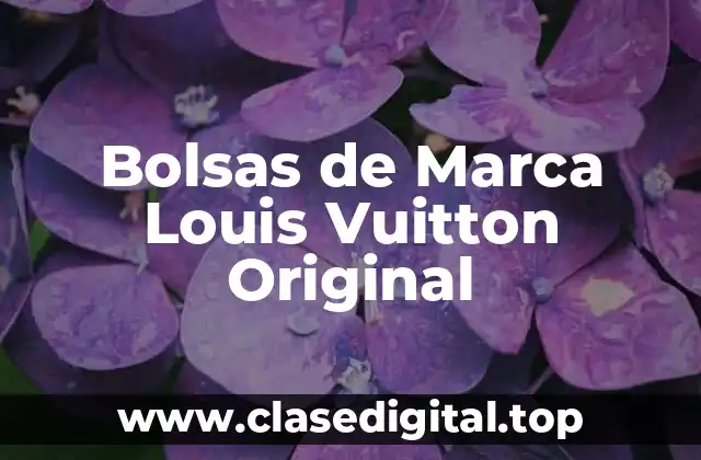 La Historia detrás de las Bolsas de Marca Louis Vuitton Original