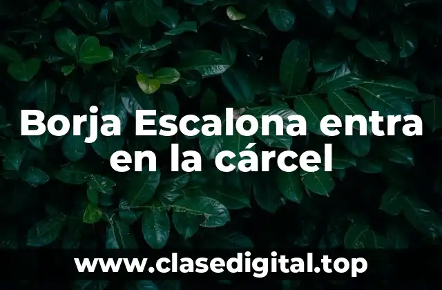 Borja Escalona entra en la cárcel