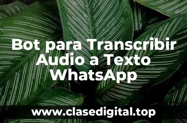 Bot para Transcribir Audio a Texto WhatsApp