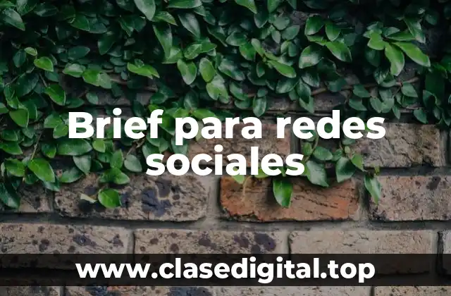 Brief para redes sociales