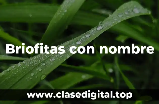 Ejemplos de briofitas con nombre