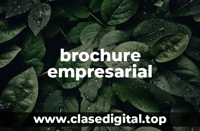 brochure empresarial