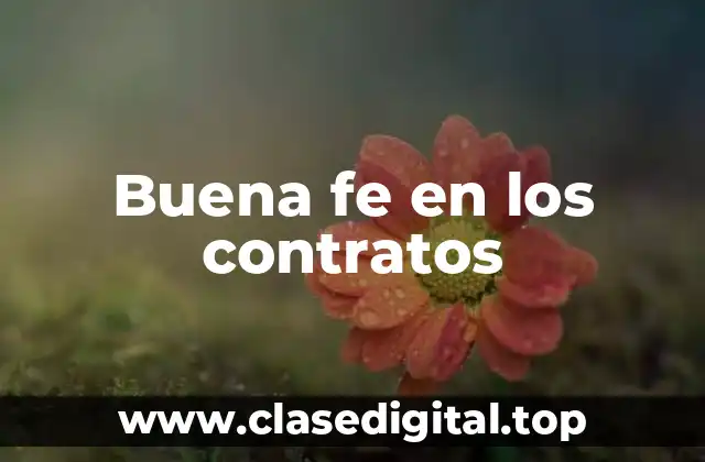 Buena fe en los contratos
