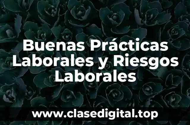 Buenas Prácticas Laborales y Riesgos Laborales