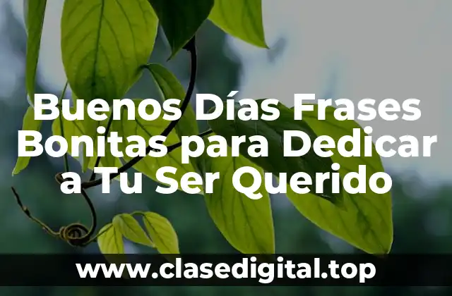 Buenos Días Frases Bonitas para Dedicar a Tu Ser Querido