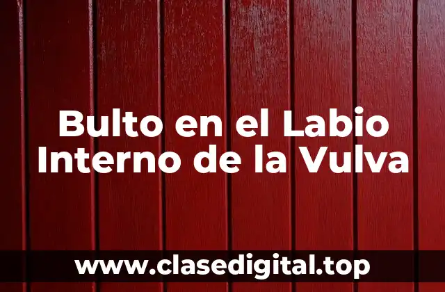 Bulto en el Labio Interno de la Vulva