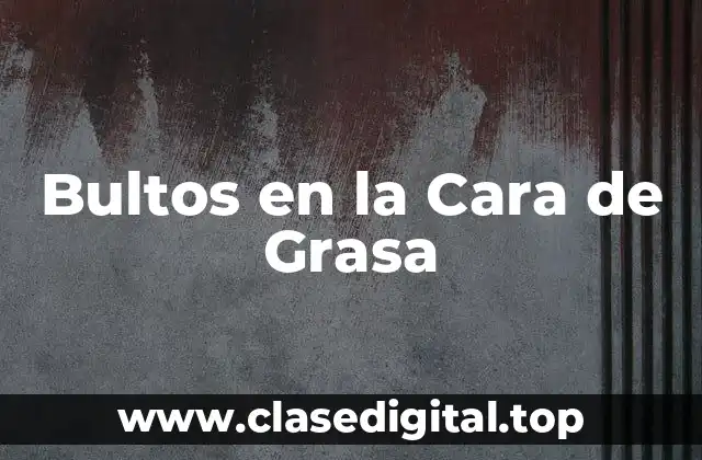 Bultos en la Cara de Grasa