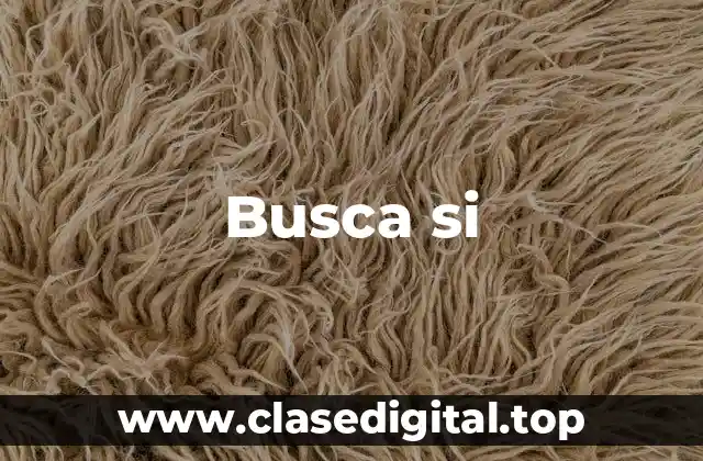 Busca si
