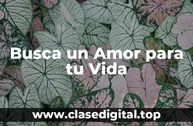 Busca un Amor para tu Vida