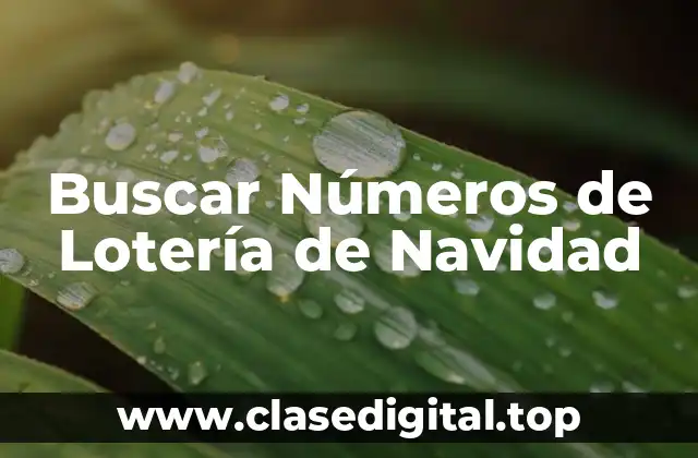 Buscar Números de Lotería de Navidad
