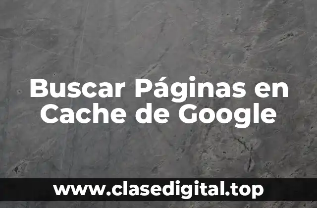 Buscar Páginas en Cache de Google