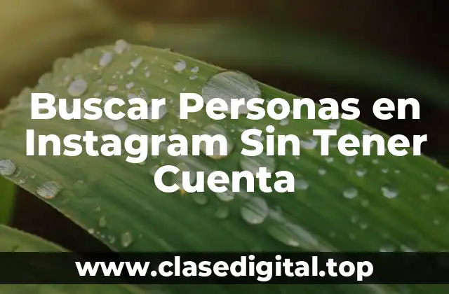 Buscar Personas en Instagram Sin Tener Cuenta