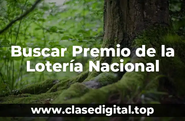 Buscar Premio de la Lotería Nacional