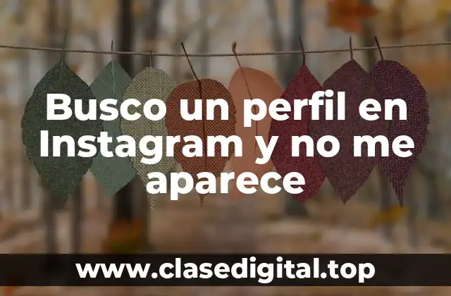 Busco un perfil en Instagram y no me aparece
