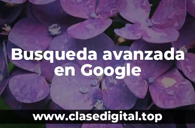 Busqueda avanzada en Google
