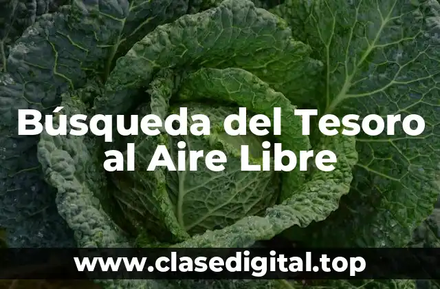 ¿Qué es la Búsqueda del Tesoro al Aire Libre?