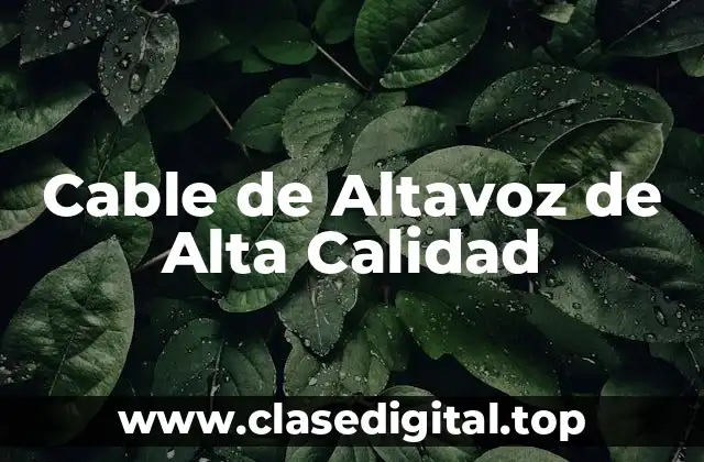 ¿Cuáles son los Componentes Clave de un Cable de Altavoz de Alta Calidad?