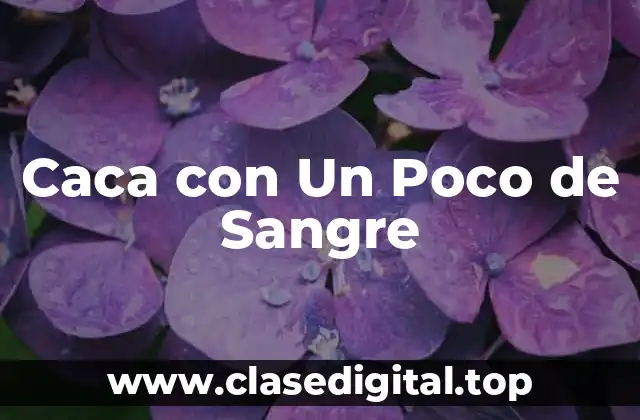 Caca con Un Poco de Sangre