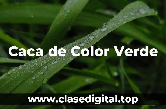 Caca de Color Verde