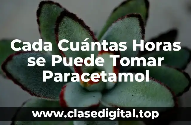 Cada Cuántas Horas se Puede Tomar Paracetamol