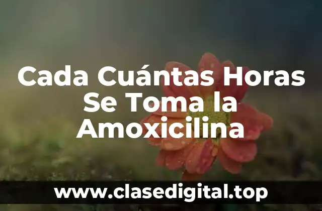 Cada Cuántas Horas Se Toma la Amoxicilina