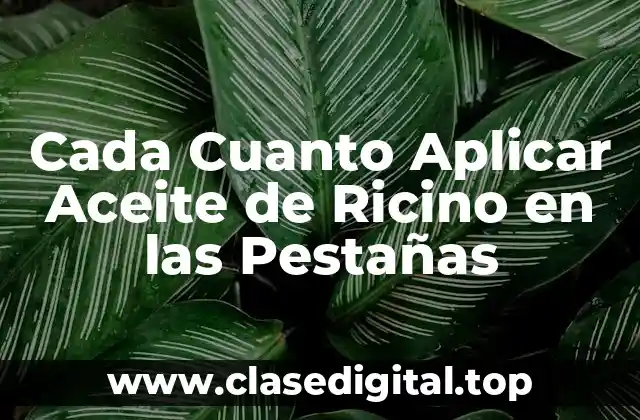 Cada Cuanto Aplicar Aceite de Ricino en las Pestañas