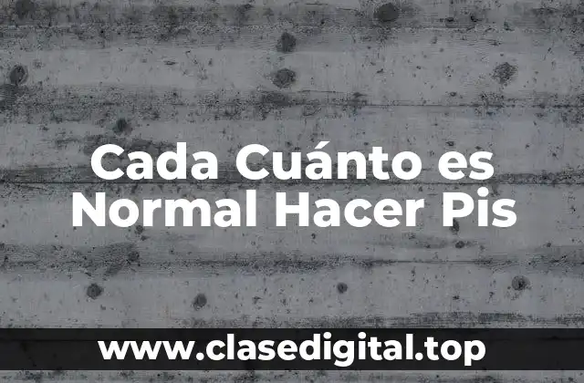 Cada Cuánto es Normal Hacer Pis