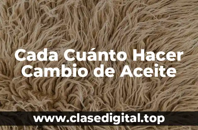 ¿Por qué es Importante el Cambio de Aceite?