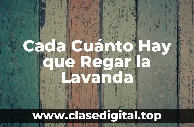 ¿Cuáles son las Necesidades de Riego de la Lavanda?