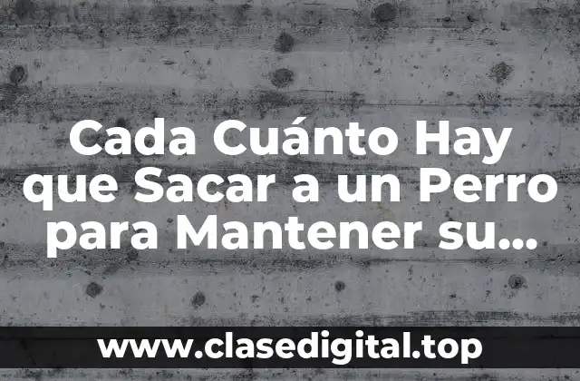 Cada Cuánto Hay que Sacar a un Perro para Mantener su Salud Física y Mental
