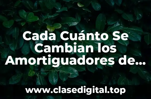 ¿Cuál es el Propósito de los Amortiguadores en un Vehículo?