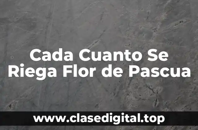 Cada Cuanto Se Riega Flor de Pascua