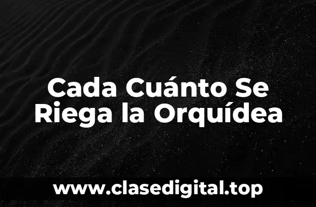 Cada Cuánto Se Riega la Orquídea