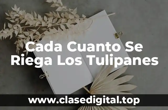 ¿Cómo Saber Si Los Tulipanes Necesitan Agua?