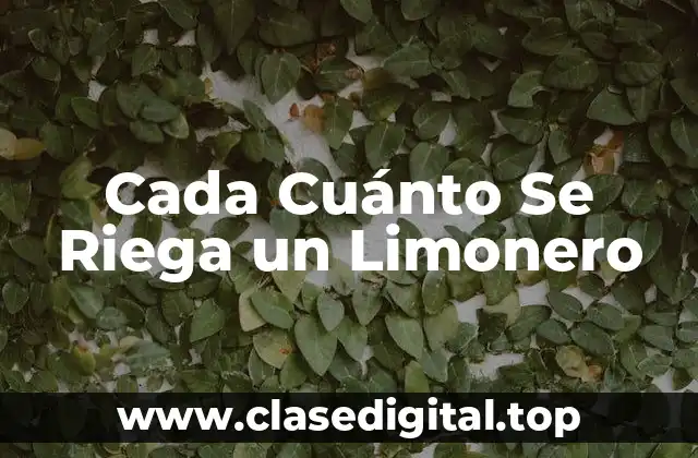Cada Cuánto Se Riega un Limonero