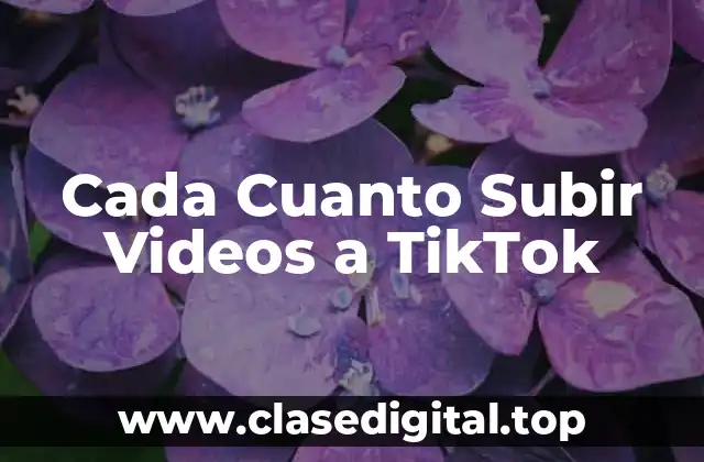 Cada Cuanto Subir Videos a TikTok