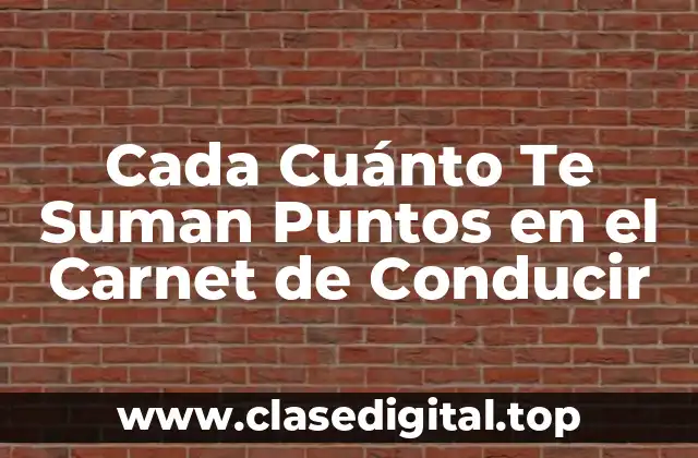 Cada Cuánto Te Suman Puntos en el Carnet de Conducir