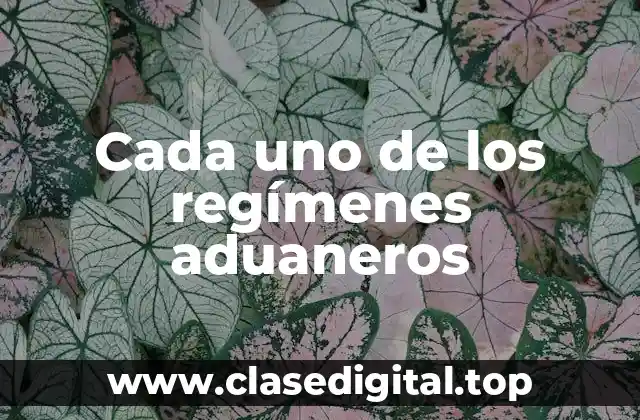 Cada uno de los regímenes aduaneros