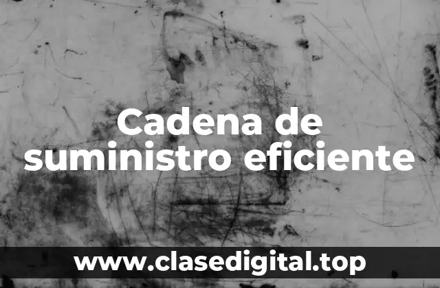 Cadena de suministro eficiente