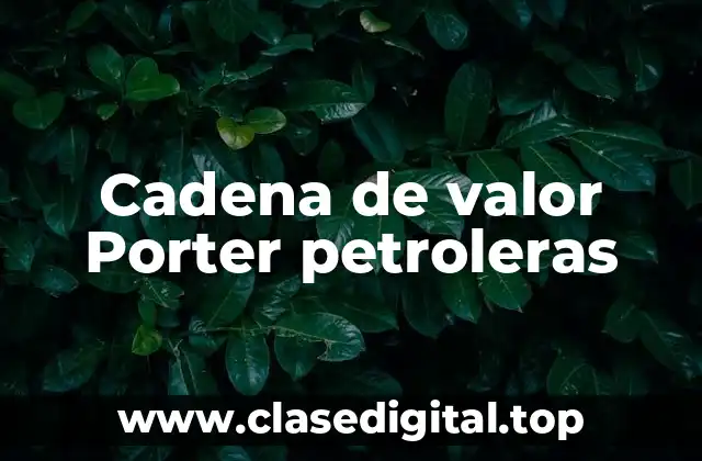 Cadena de valor Porter petroleras