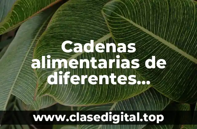 Cadenas alimentarias de diferentes ecosistemas