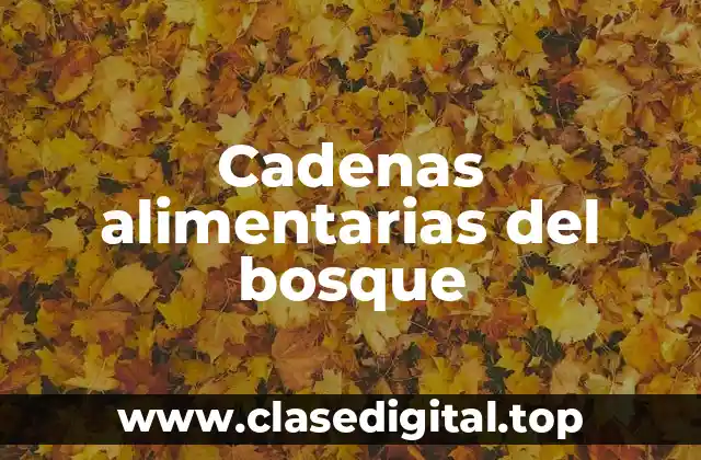 Cadenas alimentarias del bosque