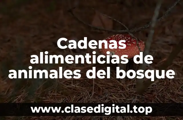Cadenas alimenticias de animales del bosque