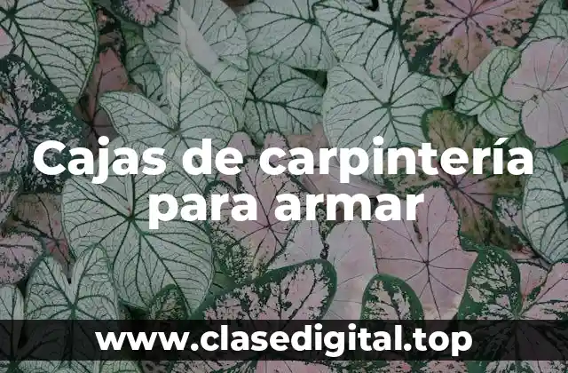 Cajas de carpintería para armar