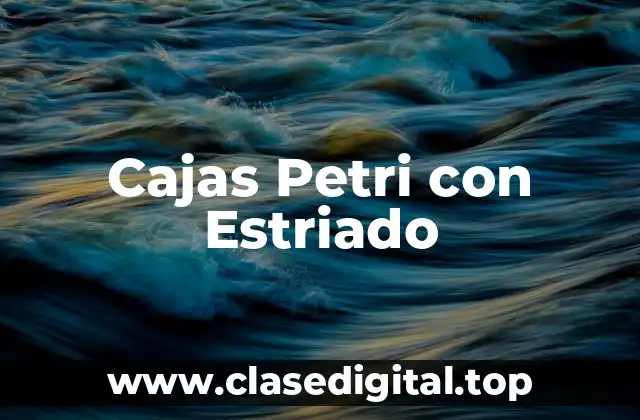 Cajas Petri con Estriado