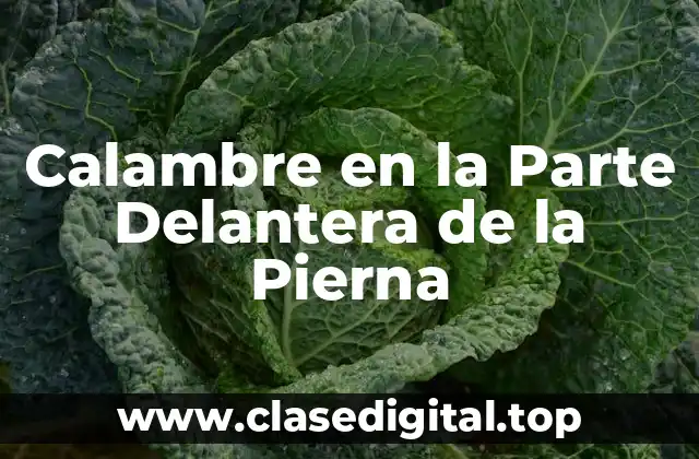 Calambre en la Parte Delantera de la Pierna