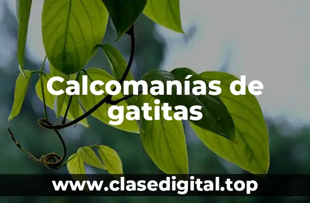 Calcomanías de gatitas